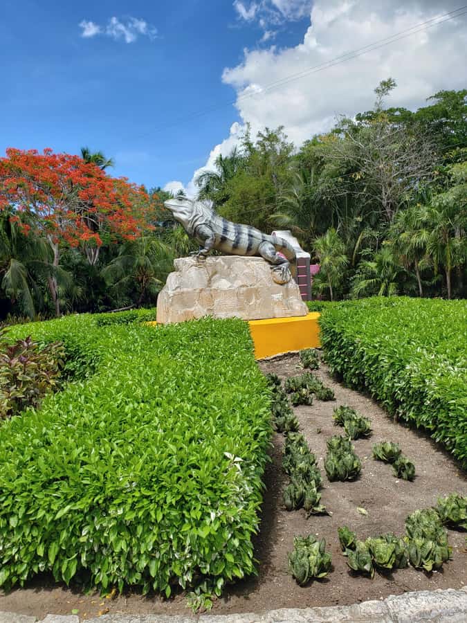 From Cozumel: Chankanaab Park Day pass with Open Bar & Lunch - Sea lions, Mayan replicas, and easy family activities