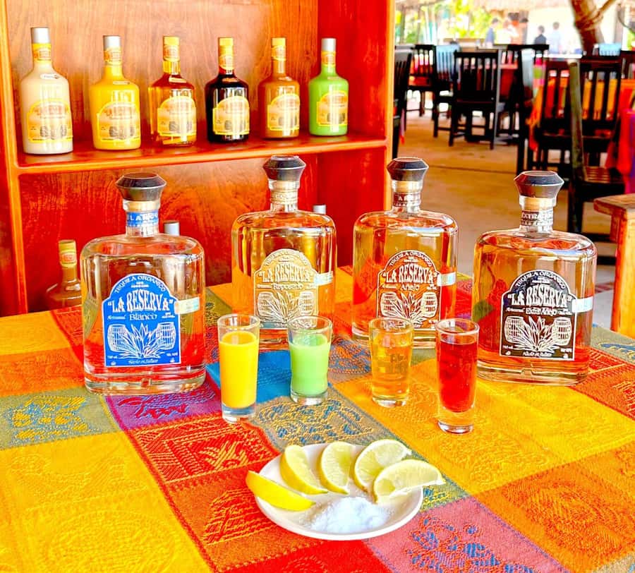 From Cozumel: Chankanaab Park Day pass with Open Bar & Lunch - How to use your three hours
