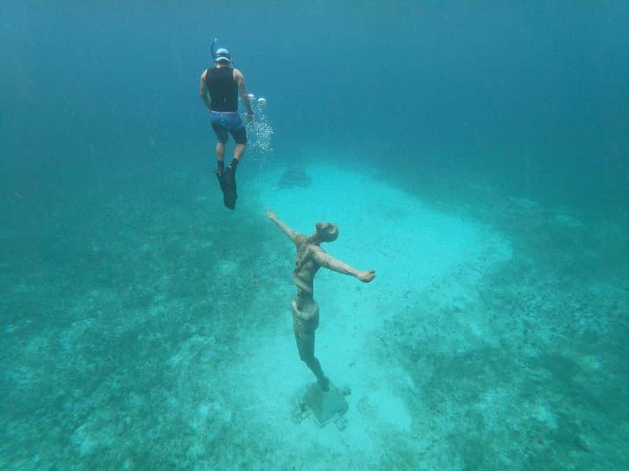 From Cozumel: Chankanaab Park Day pass with Open Bar & Lunch - Booking, cancellation, and practical value