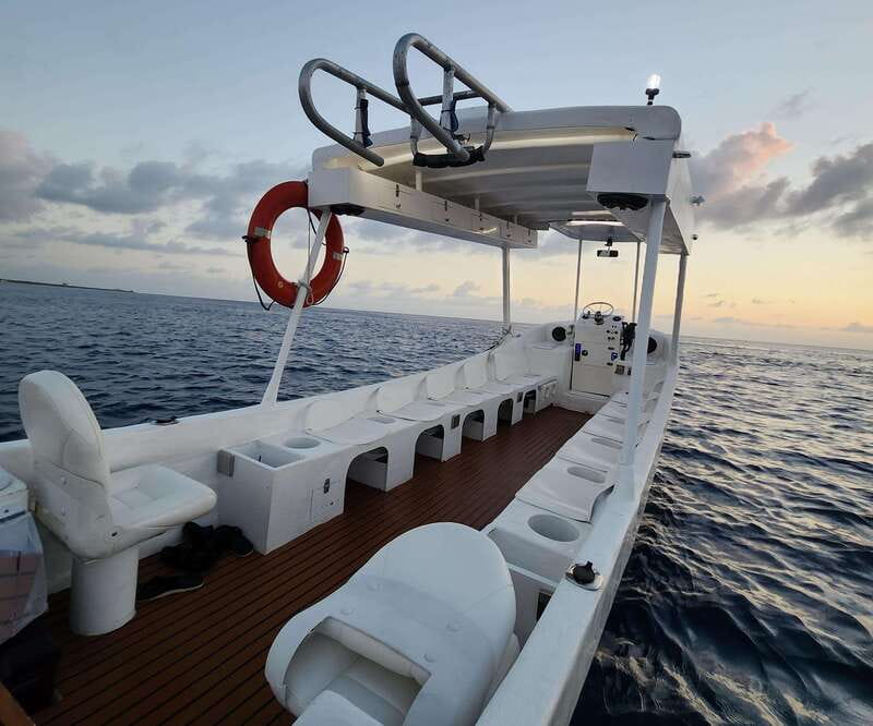 From Cozumel: Double Tank Scuba Diving for Certified Divers - Key details before you book