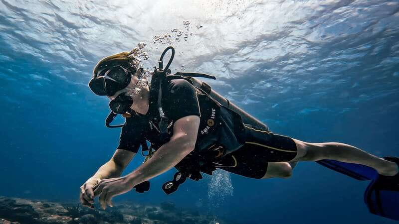 From Cozumel: Double Tank Scuba Diving for Certified Divers - What the $168 price really covers