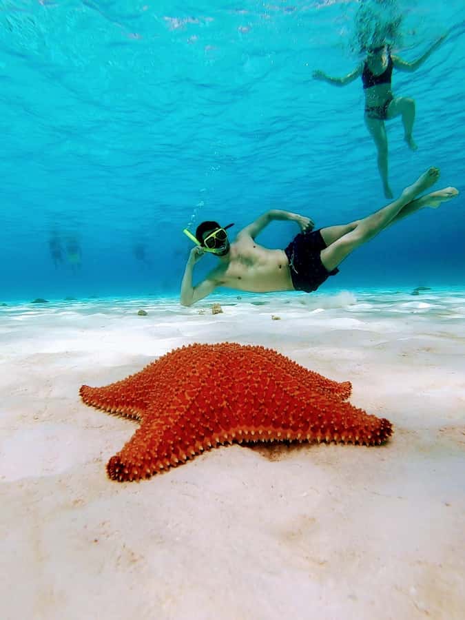 From Cozumel: El Cielo Beach by Catamaran Snorkeling Tour - What the $81 price really covers