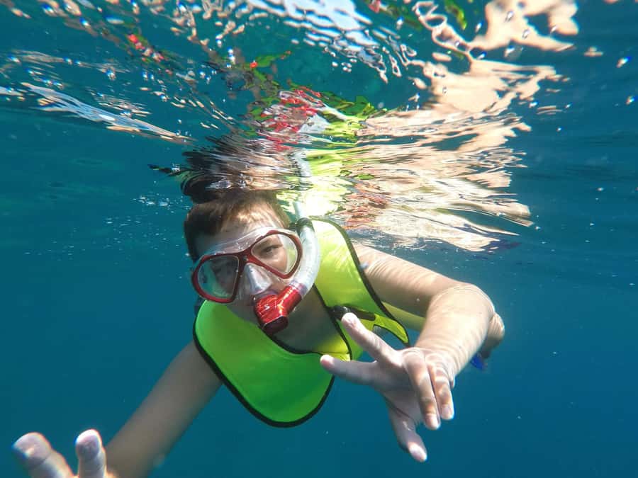 From Cozumel: El Cielo Beach by Catamaran Snorkeling Tour - Who will enjoy this Cozumel outing most