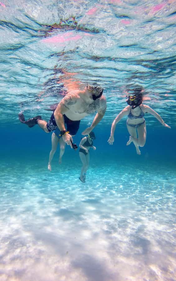 From Cozumel: El Cielo Beach by Catamaran Snorkeling Tour - Should you book this catamaran trip?
