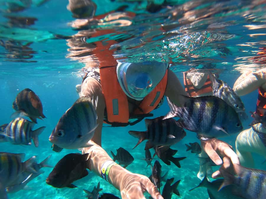 From Cozumel: Invisible Boat Snorkeling Tour - A transparent boat unlike the usual glass-bottom ride