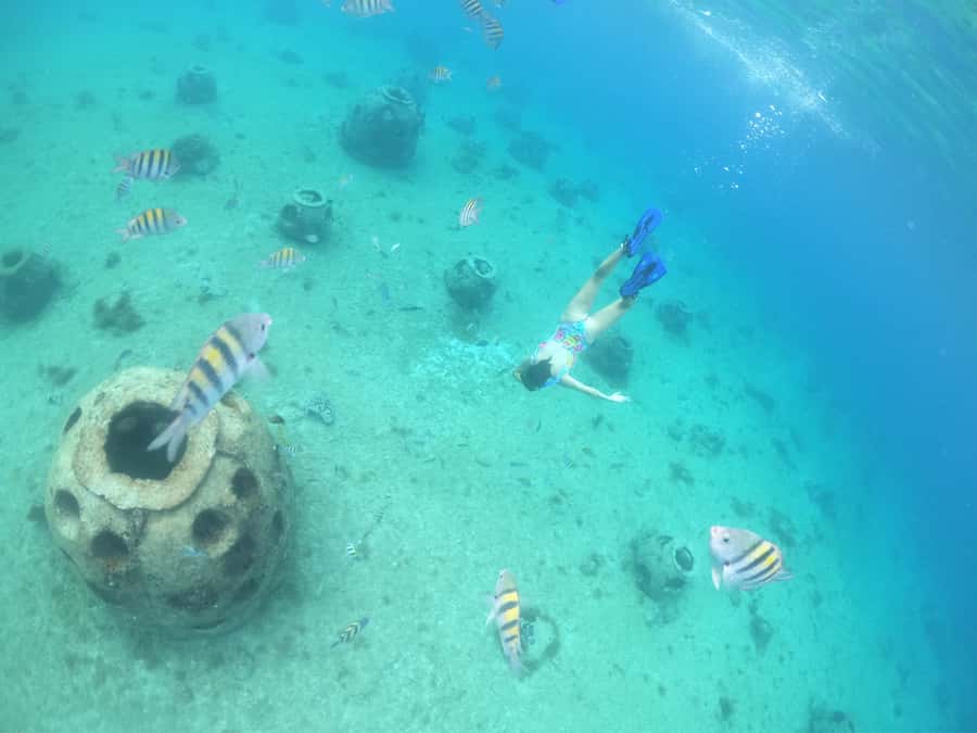 From Cozumel: Invisible Boat Snorkeling Tour - The transparent hull and underwater viewing