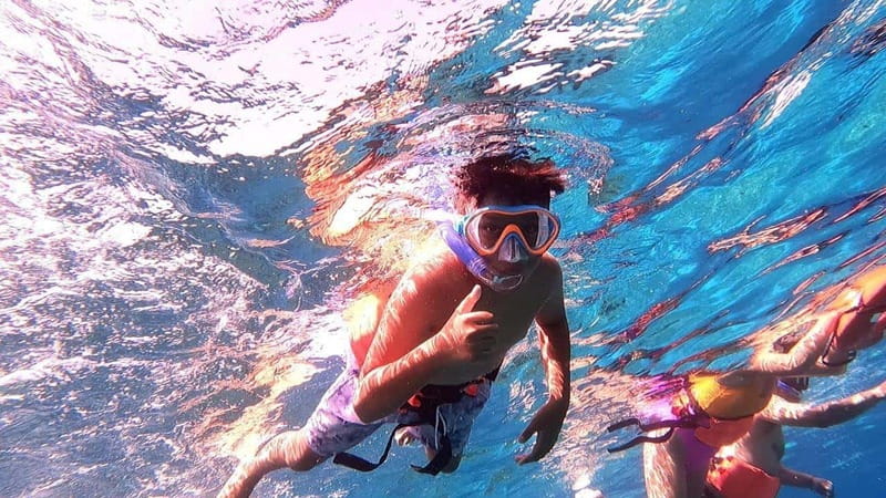 From Cozumel: Official Chankanaab Park Day Pass and Snorkel - Key details before you book