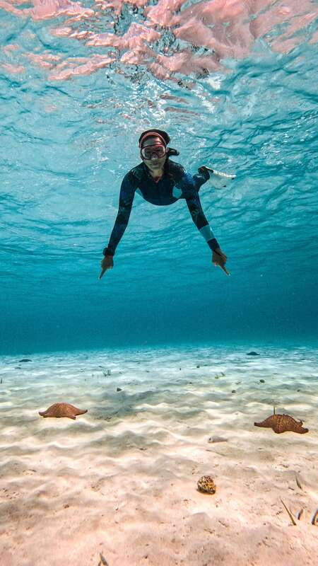 From Cozumel: Snorkel Private Charter to el Cielo & Cielito - Why El Cielo makes this Cozumel trip special