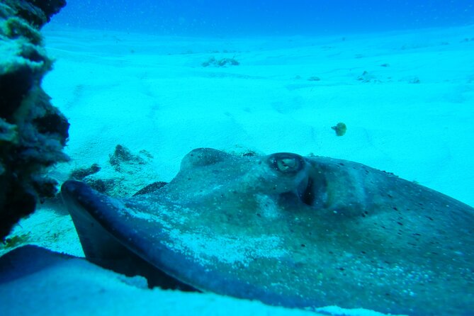Fun dives Cozumel south marine park - Equipment, photos, and personal preparation