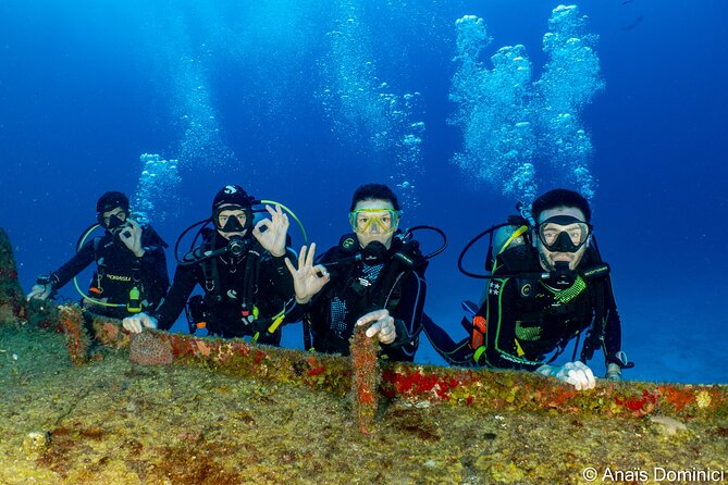 FunDiving in Cozumel - By Ferry - 2 Tanks in the wonderful Caribbean sea - Crossing to Cozumel by ferry