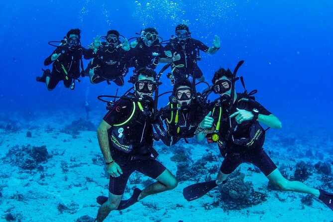 FunDiving in Cozumel - By Ferry - 2 Tanks in the wonderful Caribbean sea - Equipment, instructors, and group size
