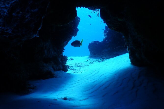 FunDiving in Cozumel - By Ferry - 2 Tanks in the wonderful Caribbean sea - The real cost and what you receive