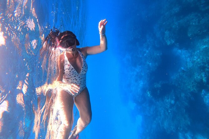 Get to know heaven on earth with Chivis del mar private - Palancar Reef brings the fish and coral