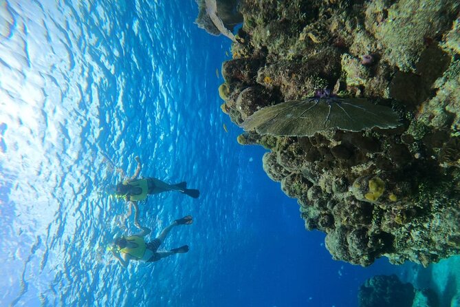 Get to know heaven on earth with Chivis del mar private - El Cielito adds stingrays, shallow water, and lunch