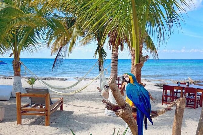Half-Day Island Tour with Mayan Experience & Beach Break - San Martin Beach offers photos, sand, and a short pause