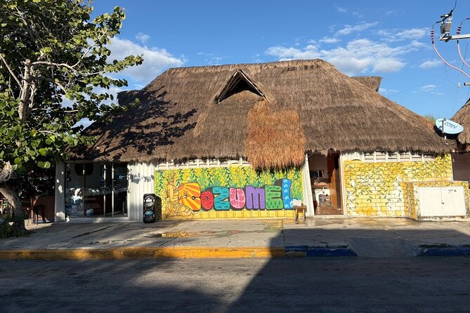 History walking - Foodie Cozumel tour - Birria, fruit, and lunch at the municipal market