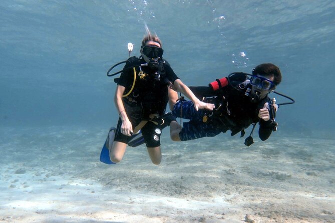 Introductory Diving Class in the Cozumel Reefs - Key Points at a Glance