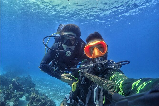 Introductory Diving Class in the Cozumel Reefs - Why Cozumel Works So Well for a First Scuba Class