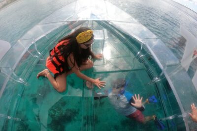 Invisible Boat Snorkeling Tour