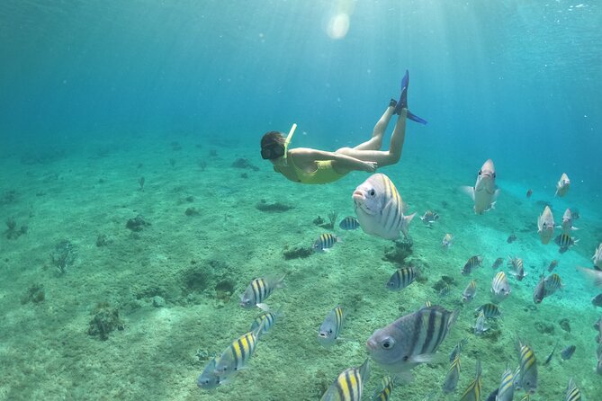 Invisible Boat Snorkeling Tour - Snorkeling with included equipment