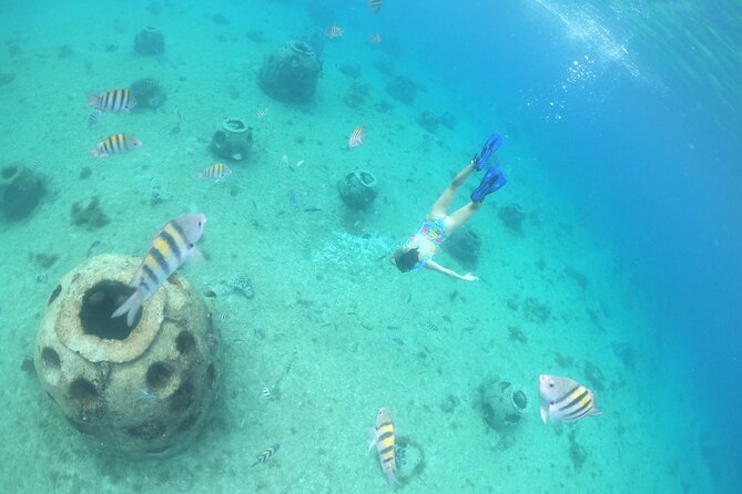 Invisible Boat Snorkeling Tour - Who will get the most from this tour