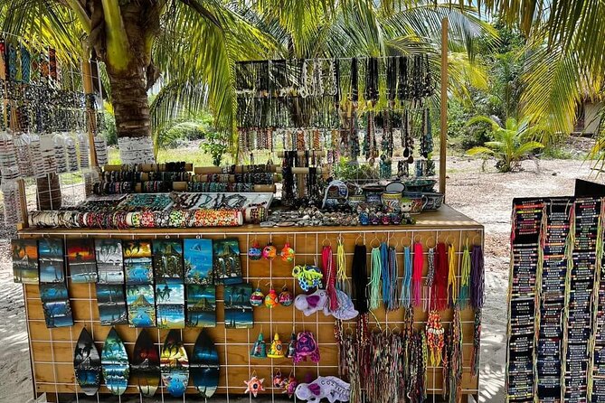 Island Tour in Cozumel, Mayan Show & Tacos - Otoch Mayan Experience brings in dance and food