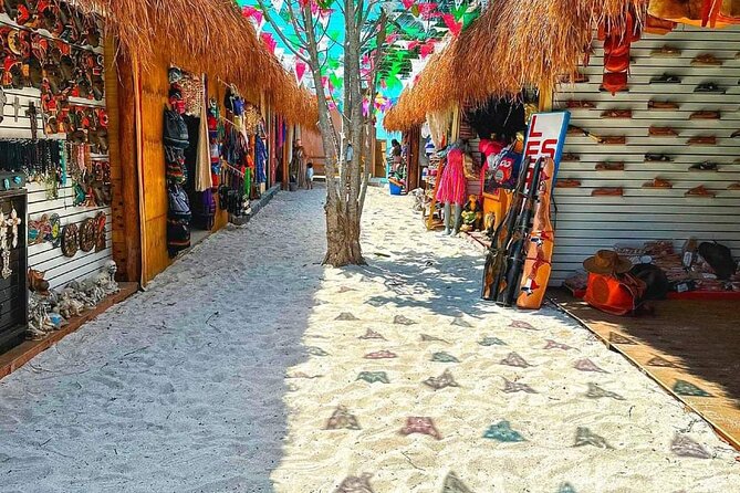 Island Tour in Cozumel, Mayan Show & Tacos - Chulas Pool Party and Beach Bar closes the day
