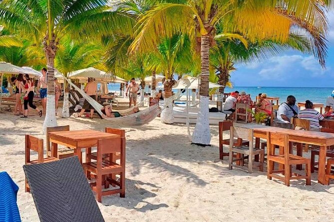 Island Tour in Cozumel, Mayan Show & Tacos - Guides can make the fixed schedule feel more personal