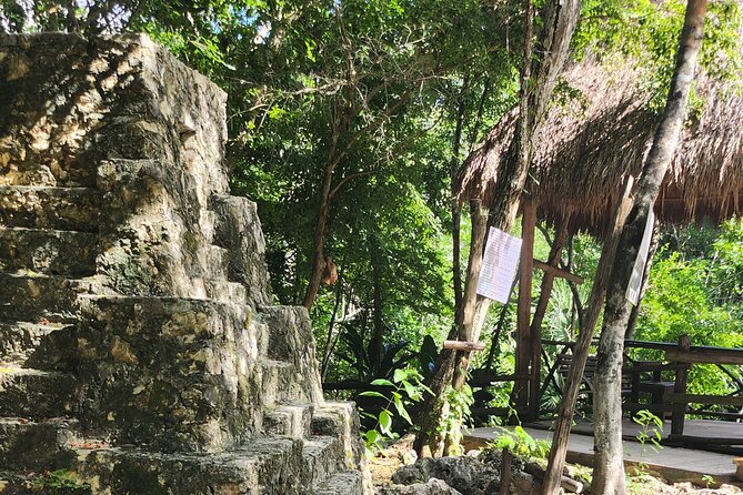 Jade Cavern ATV Tour in Cozumel with Beach Break with transfer - Eight tequila styles and the story behind them