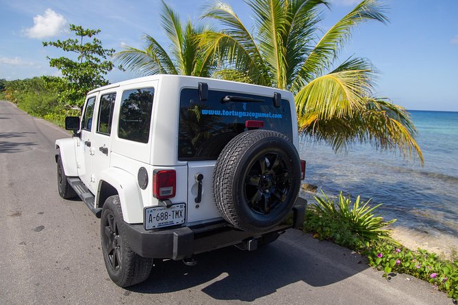 Jeep Exploration & All Inclusive Tortugas Beach Break (Private) - El Mirador and Cozumel’s rocky coast