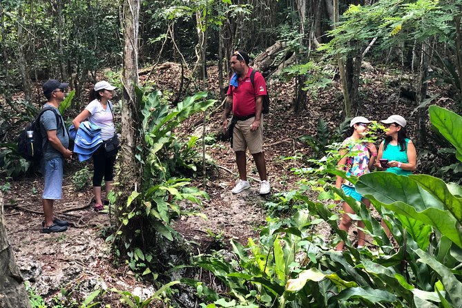 Jungle Jeep Adventure to Mayan Caves, Cenote and Snorkel - El Cedral, Cozumel’s small historic stop