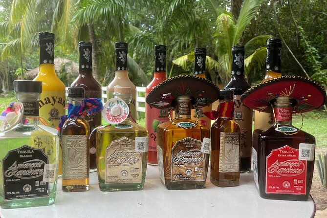 Jungle & Sacred Cenote Quad Adventure - Is the 4.2 rating enough to settle the question?