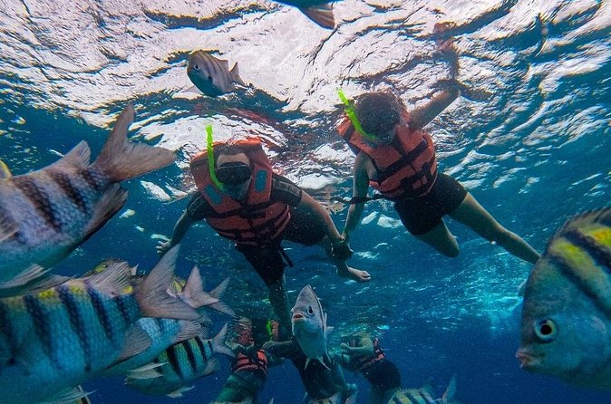 Magnificent Exploration to El Cielo Palancar and Columbia Reefs - El Cielo is beautiful, but not a classic reef stop