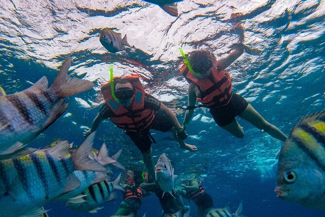 Magnificent Exploration to El Cielo Palancar and Columbia Reefs - What the low price really means