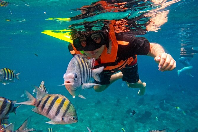 Magnificent Exploration to El Cielo Palancar and Columbia Reefs - Guide language and the importance of clear instructions