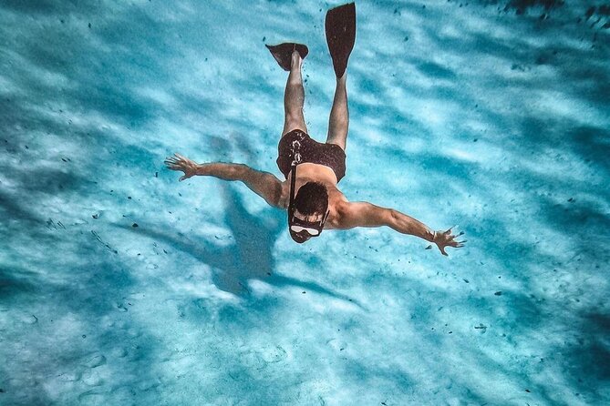 Magnificent Exploration to El Cielo Palancar and Columbia Reefs - Palancar Reef offers the best wildlife promise