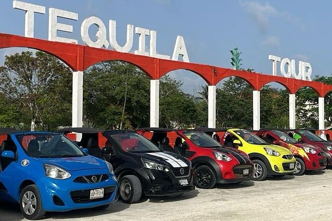 Mayan Adventure by Buggy : Explore Ruins & Culture Park - Key points to know before booking