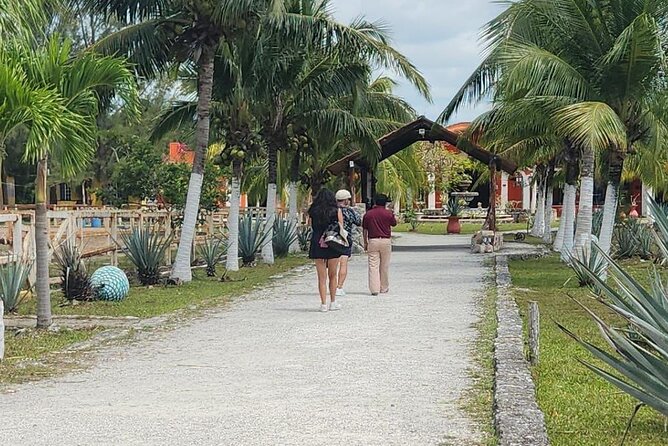 Mayan Adventure by Buggy : Explore Ruins & Culture Park - Is $126.67 a fair price?
