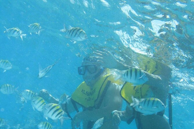 Mayan Ruins and Beach Time - Tortugas brings lunch, water, and beach time