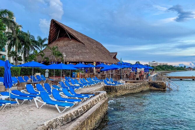 Money Bar All Inclusive Experience with Transportation - Reaching the Dzul Ha and Paraiso reefs from shore
