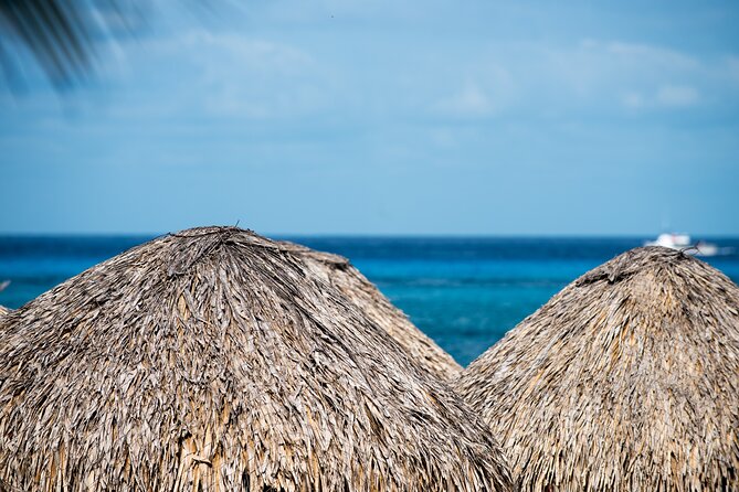 Mr. Sanchos Beach Club All-Inclusive Day Pass - Practical timing for a cruise stop