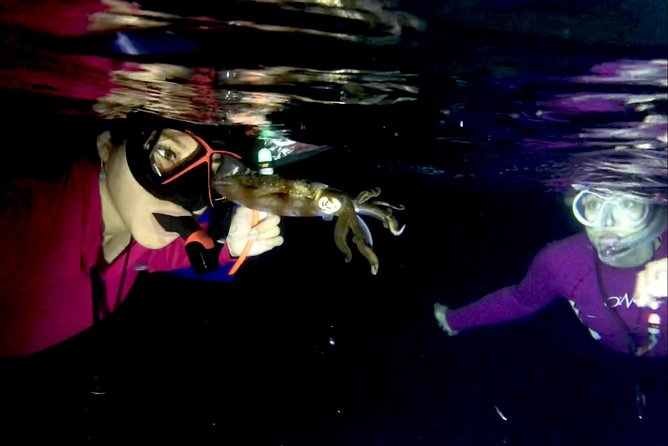 Night Snorkeling - Observation of octopus and other species - The One-Hour Search Area