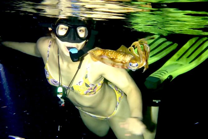 Night Snorkeling - Observation of octopus and other species - Meeting at Money Bar Beach Club at 7:30 pm