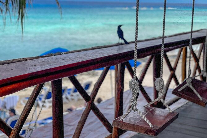 North Shore E-Bike & Beach Break - Who will enjoy this Cozumel tour most?