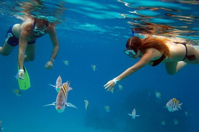 Official Chankanaab Park Day pass and Snorkel with Lunch included - What this Cozumel day pass actually includes