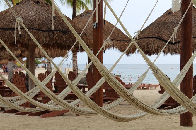 Official Chankanaab Park Day pass and Snorkel with Lunch included - The guided snorkeling session