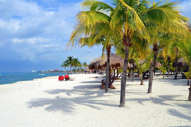 Official Chankanaab Park Day pass and Snorkel with Lunch included - Sea lions, tequila, and other add-ons