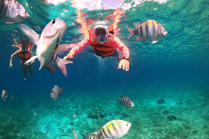 Official Chankanaab Park Day pass and Snorkel with Lunch included - Arriving at Chankanaab from Cozumel