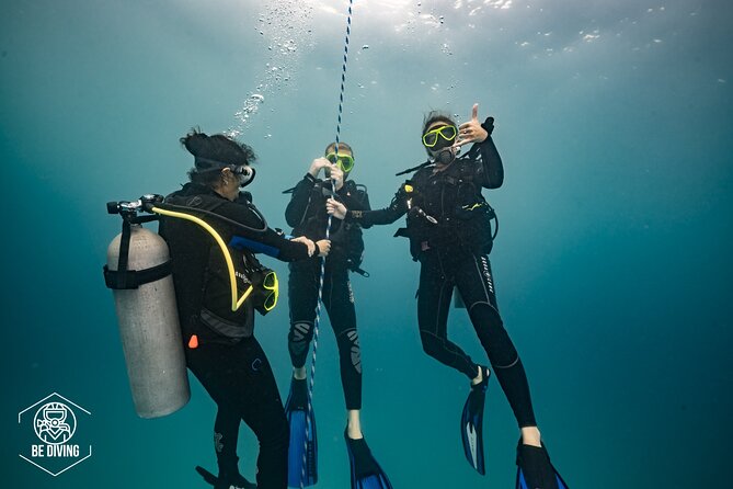 Open Water Course Cozumel - Cozumel and the Mesoamerican reef