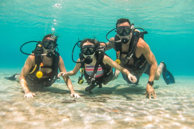 Open Water Course Cozumel - How much value do you get for $600?